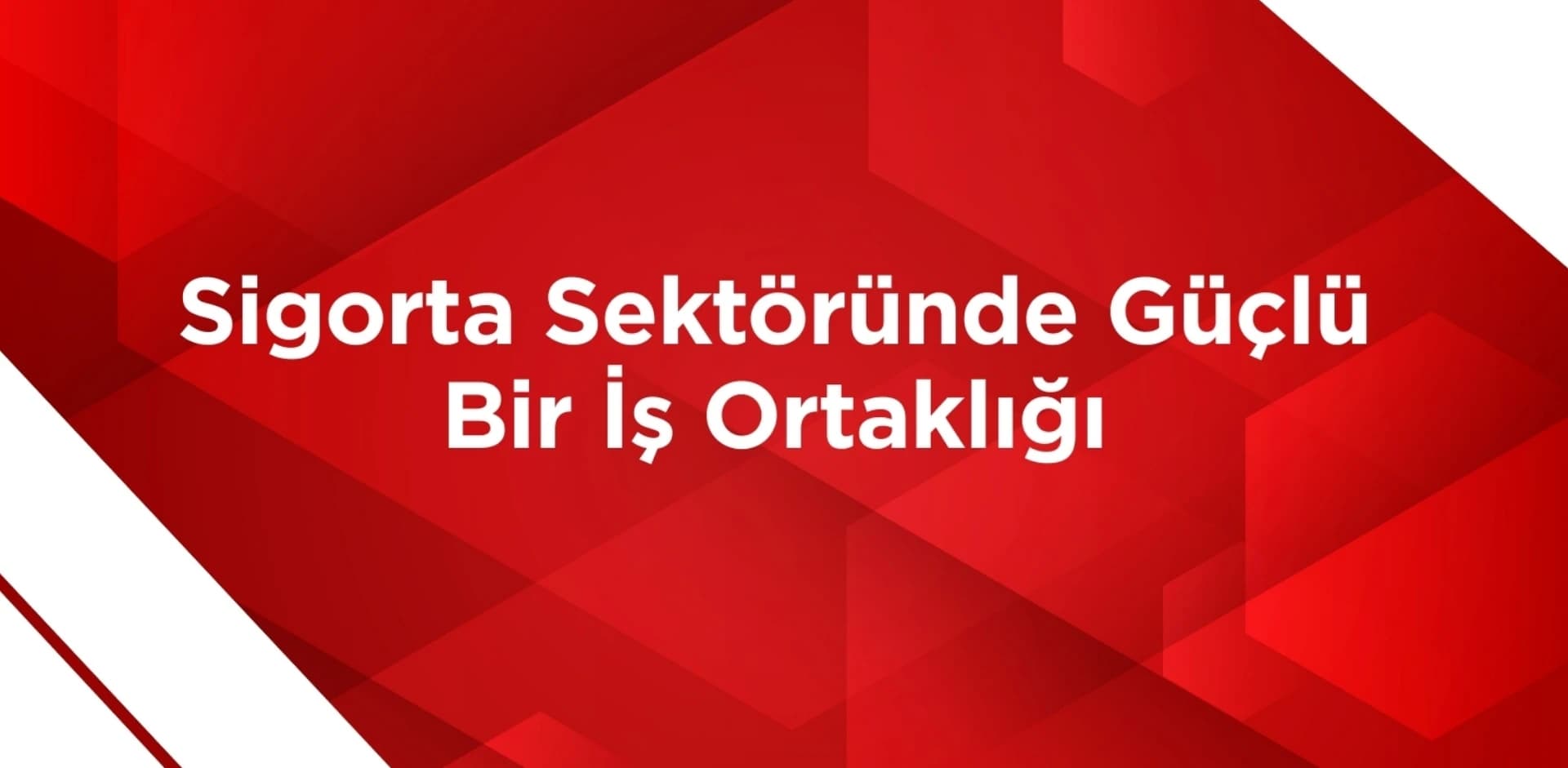 50'ye Yakın Şube