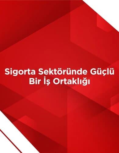 50'ye Yakın Şube
